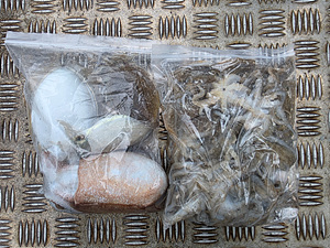 인천쭈꾸미낚시 (31).jpg