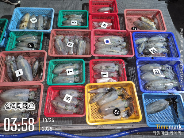 2025-10-26 03.58.40_.jpg