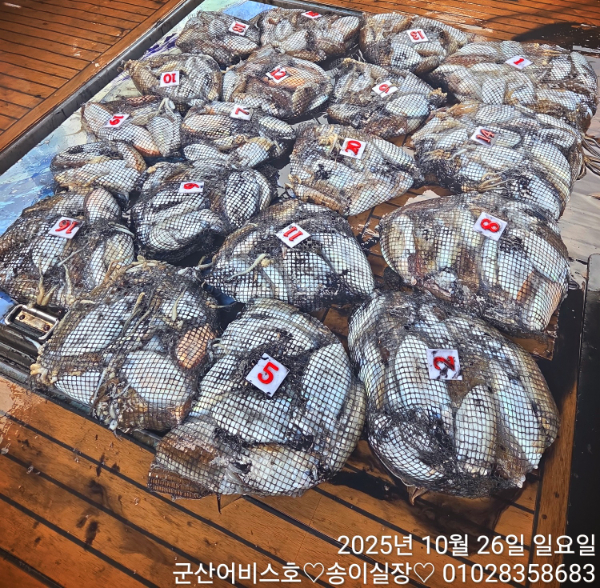 1000017124.jpg