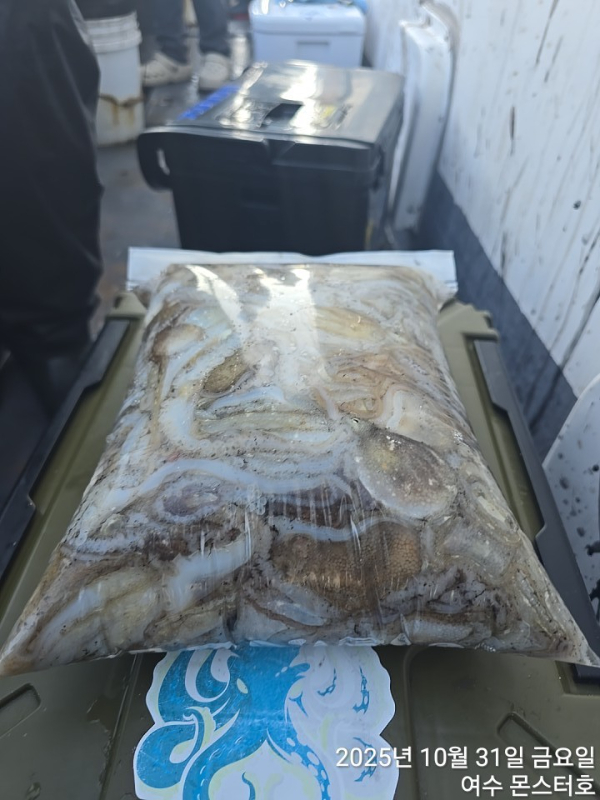 BandPhoto_2025_10_31_17_54_55 (1).jpg