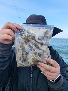 인천쭈꾸미낚시 (1).jpg