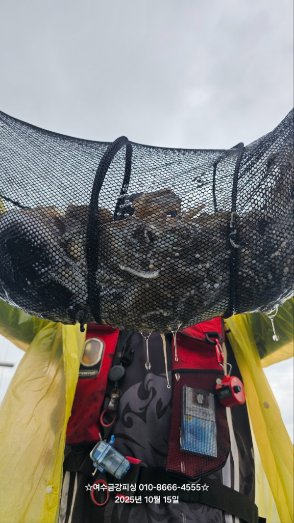 여수금강피싱_사진_20251015_2.jpg