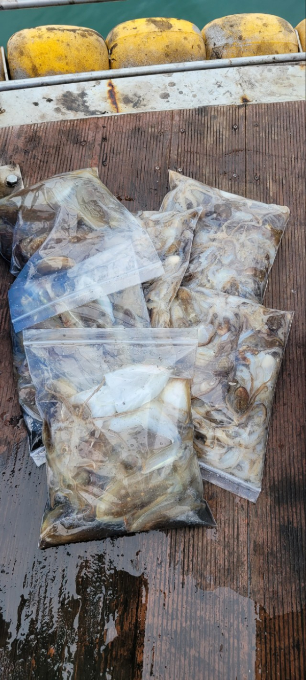 예지퀸호 농어외수질&어초낚시 경기인천권_사진_20251004_19.jpg