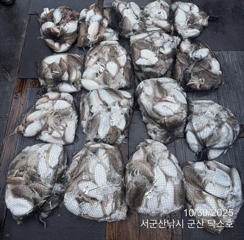 군산 선상낚시, 바다낚시 출조 전문 ☆서군산낚시☆_사진_20251030_1.jpg