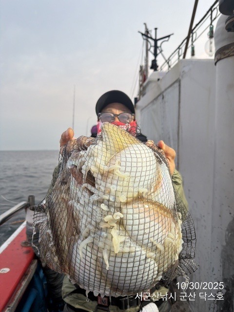 군산 선상낚시, 바다낚시 출조 전문 ☆서군산낚시☆_사진_20251030_5.jpg