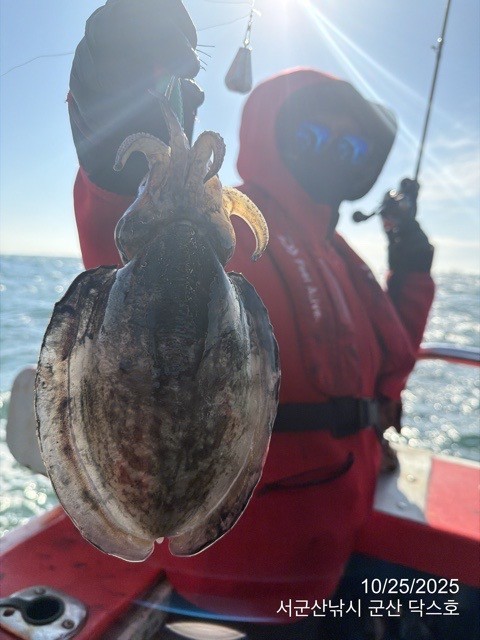 군산 선상낚시, 바다낚시 출조 전문 ☆서군산낚시☆_사진_20251025_10.jpg