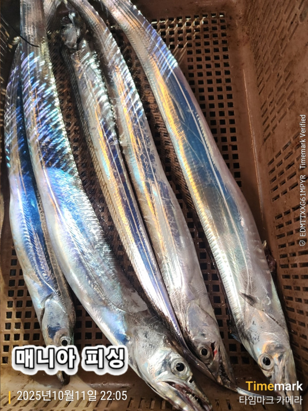 KakaoTalk_20251012_070613870_01.jpg