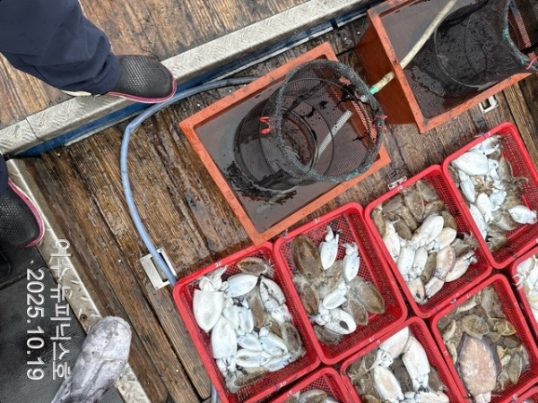 10월19일갑이 (21)-tile.jpg