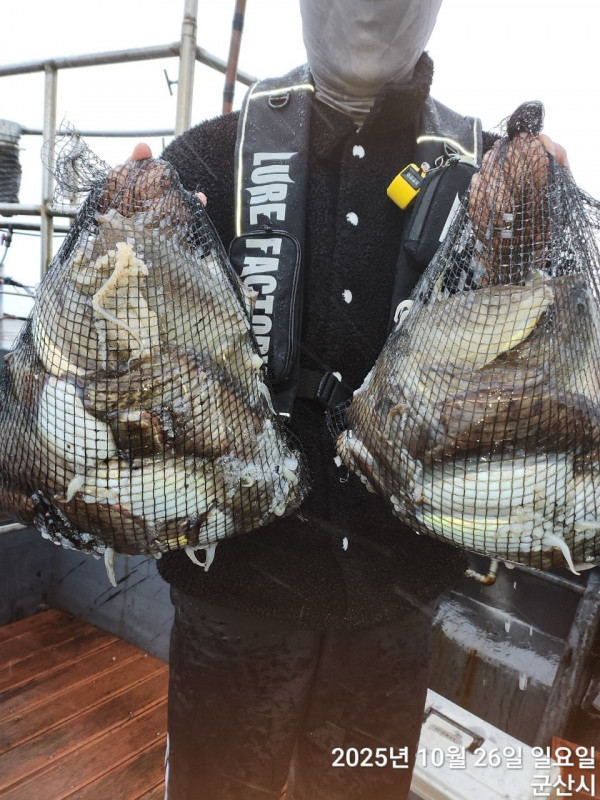 군산 선상낚시, 바다낚시 출조 전문 ☆서군산낚시☆_사진_20251026_7.jpg