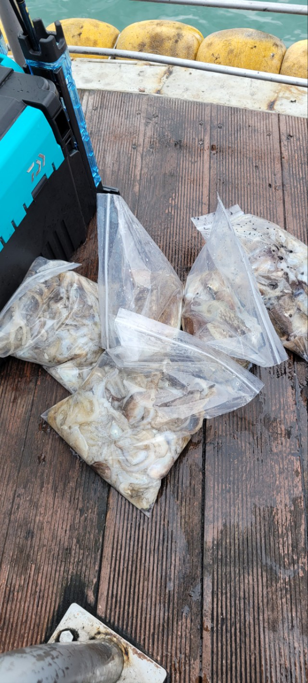 예지퀸호 농어외수질&어초낚시 경기인천권_사진_20251016_11.jpg