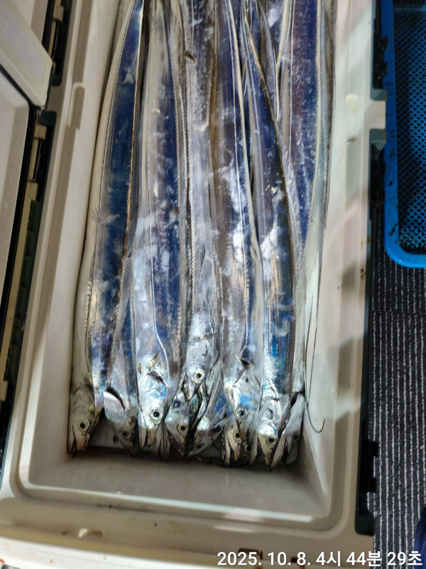 ef8a3d01e7a5362c4bac90f86af12a75.jpg