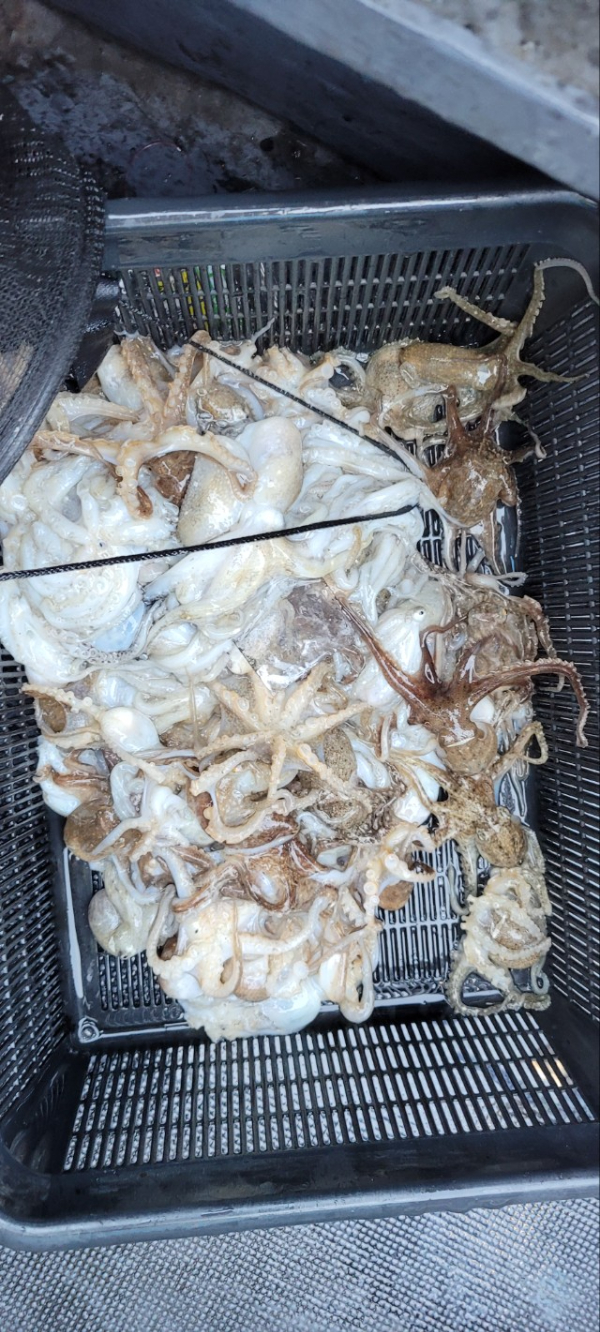 예지퀸호 농어외수질&어초낚시 경기인천권_사진_20251026_13.jpg