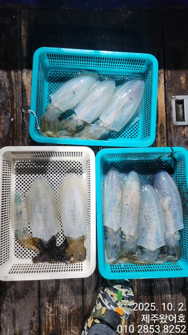 제주왔어호_사진_20251003_2.jpg