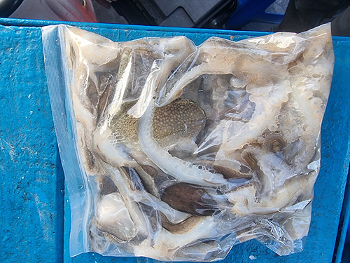 인천쭈꾸미낚시 (2).jpg