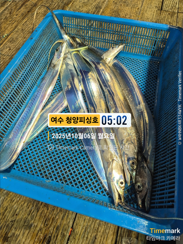 2025-10-06 05.02.07__(제목-여수 청양피싱호).jpg