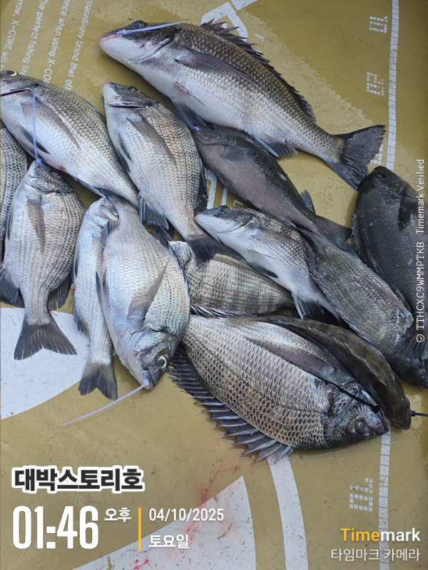 2025-10-04 01.46.17__(대박스토리호).jpg