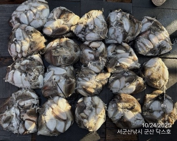 군산 선상낚시, 바다낚시 출조 전문 ☆서군산낚시☆_사진_20251024_1.jpg