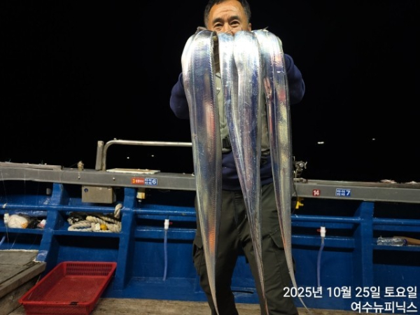 10월26일갈치 (3).jpg