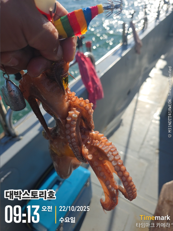 2025-10-22 09.13.00__(대박스토리호).jpg