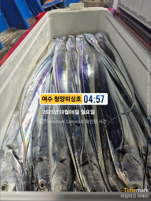 2025-10-06 04.57.03__(제목-여수 청양피싱호).jpg