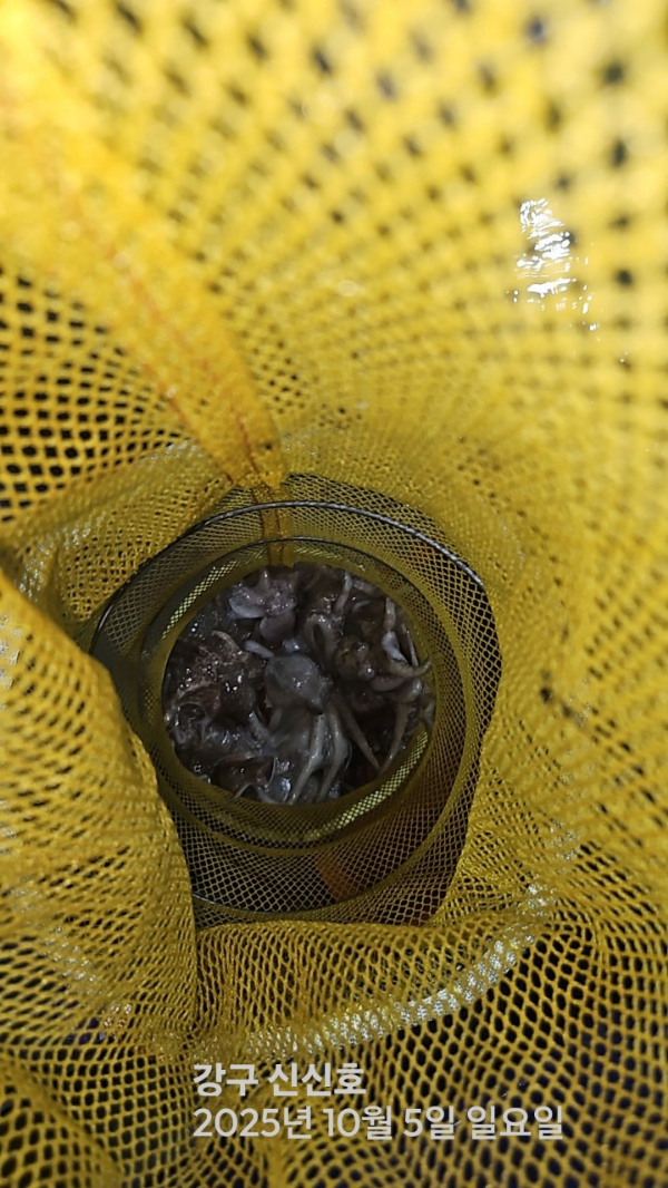 신신낚시 강구점 신신호_사진_20251005_5.jpg