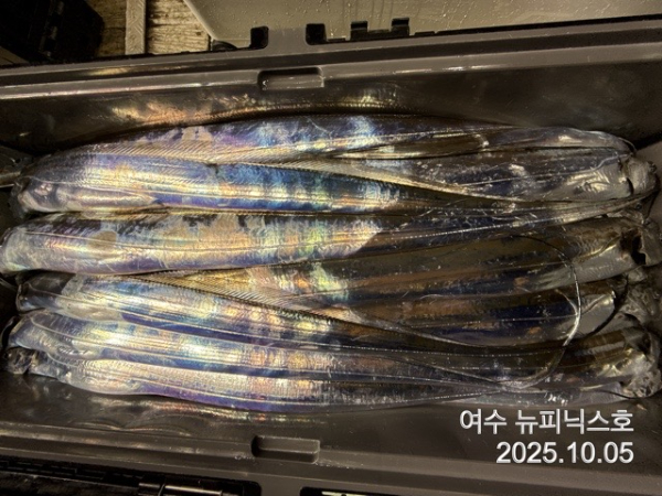 10월5일갈치 (37).jpg