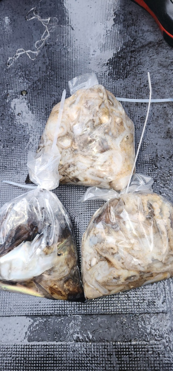 예지퀸호 농어외수질&어초낚시 경기인천권_사진_20251013_10.jpg