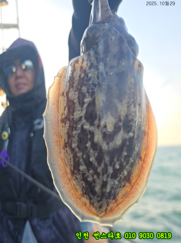 10월29 썬 (13).jpg