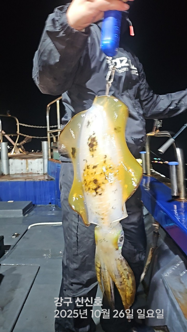 신신낚시 강구점 신신호_사진_20251027_4.jpg