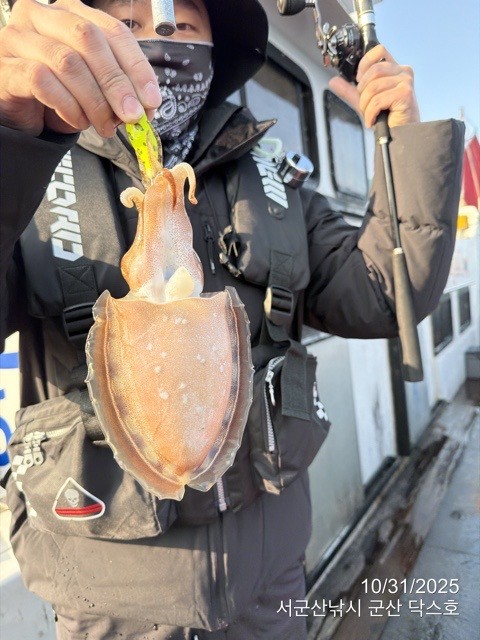 군산 선상낚시, 바다낚시 출조 전문 ☆서군산낚시☆_사진_20251031_16.jpg