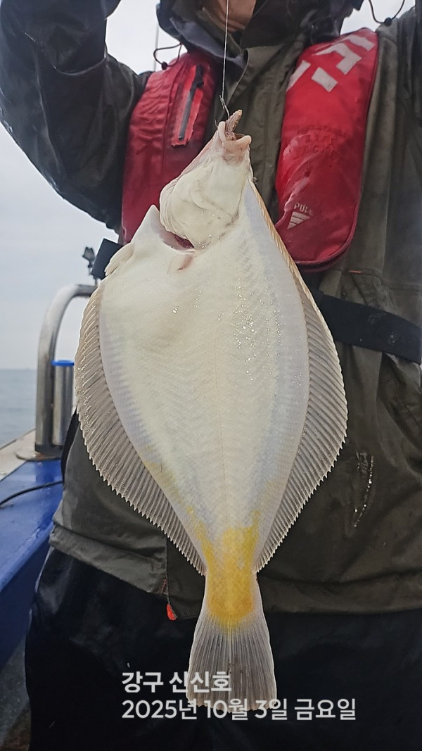 신신낚시 강구점 신신호_사진_20251003_3.jpg