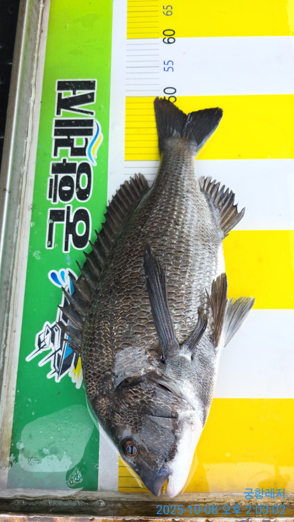 궁항레저_사진_20251008_2.jpg