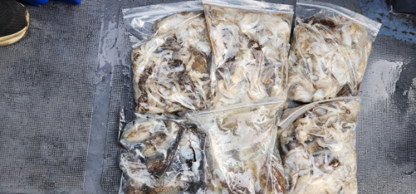 예지퀸호 농어외수질&어초낚시 경기인천권_사진_20250930_9.jpg