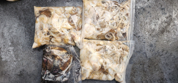 예지퀸호 농어외수질&어초낚시 경기인천권_사진_20250930_11.jpg