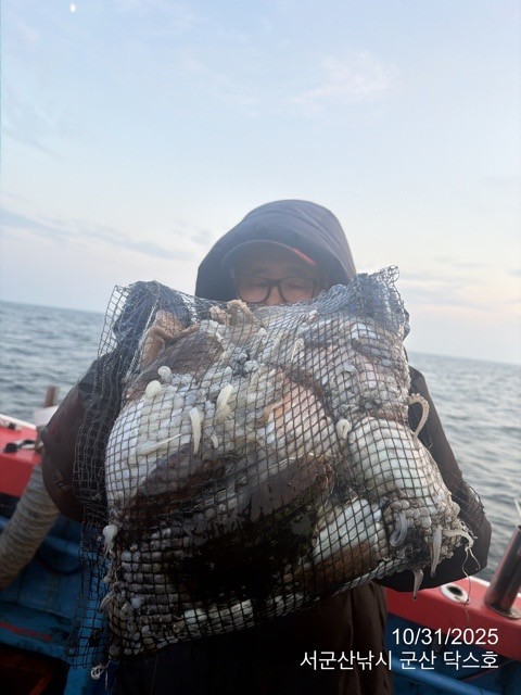 군산 선상낚시, 바다낚시 출조 전문 ☆서군산낚시☆_사진_20251031_11.jpg