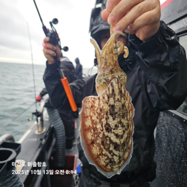 ꫛꫀꪝ✧‧˚ 태안 마검포 新출항호 .• _˚☀₊_사진_20251013_1.jpg