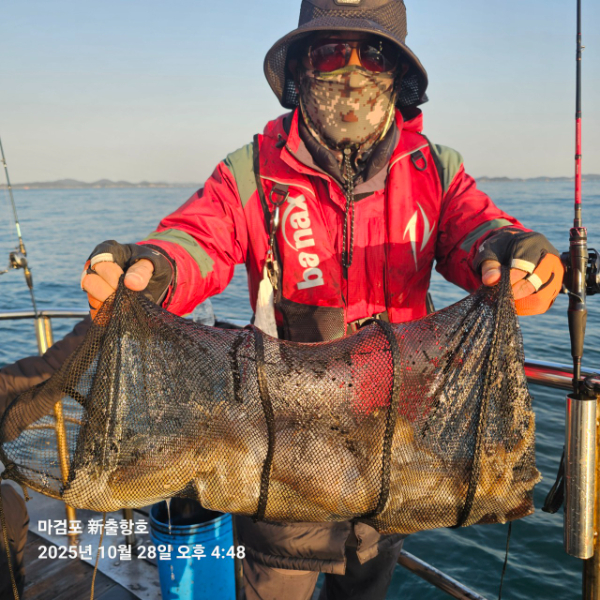 ꫛꫀꪝ✧‧˚ 태안 마검포 新출항호 .• _˚☀₊_사진_20251028_6.jpg