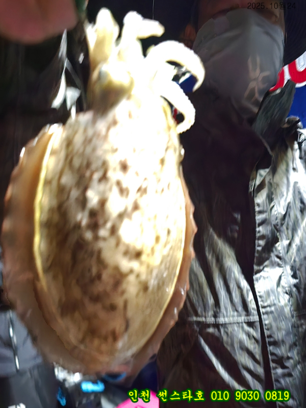 10월24 썬 (22).jpg