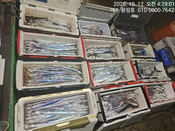 KakaoTalk_20251012_123507046_10.jpg