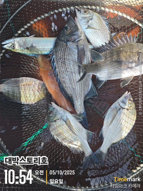 2025-10-05 10.54.36__(대박스토리호).jpg