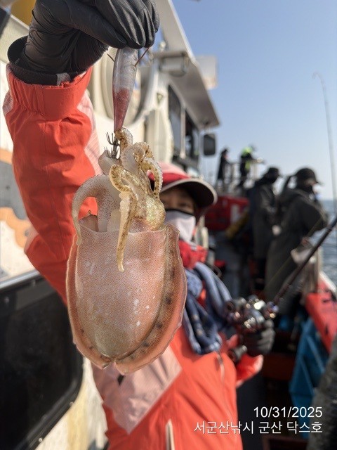 군산 선상낚시, 바다낚시 출조 전문 ☆서군산낚시☆_사진_20251031_17.jpg