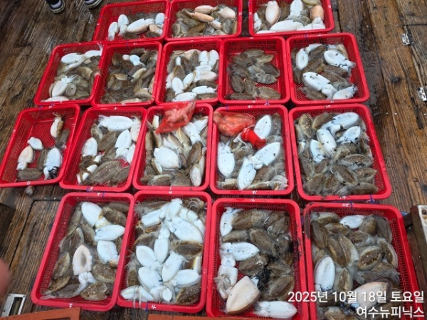 10월18일갑오징어 (7).jpg