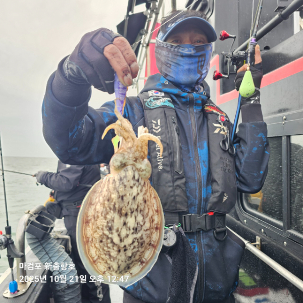 ꫛꫀꪝ✧‧˚ 태안 마검포 新출항호 .• _˚☀₊_사진_20251021_4.jpg