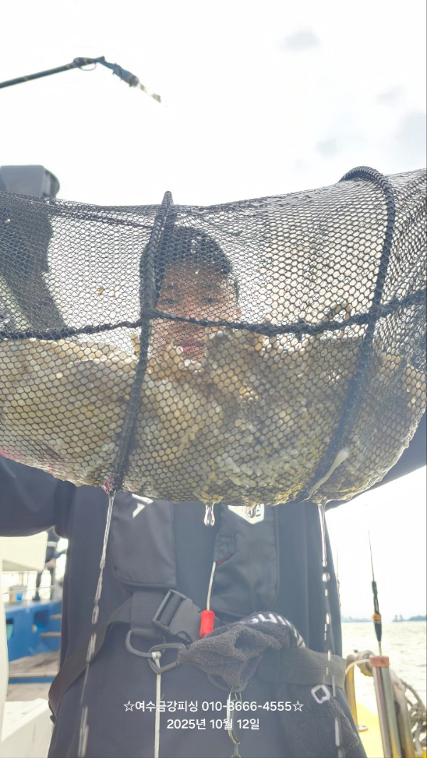 여수금강피싱_사진_20251013_7.jpg