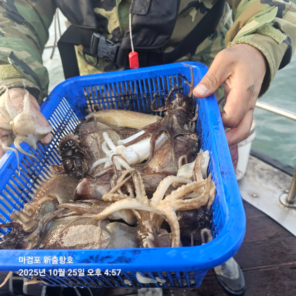 ꫛꫀꪝ✧‧˚ 태안 마검포 新출항호 .• _˚☀₊_사진_20251025_13.jpg