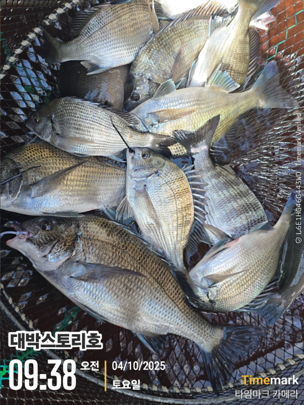 2025-10-04 09.38.48__(대박스토리호).jpg