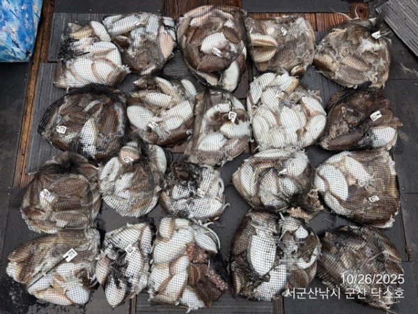 군산 선상낚시, 바다낚시 출조 전문 ☆서군산낚시☆_사진_20251026_1.jpg