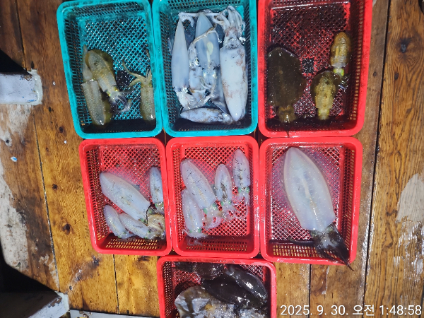 1000039208.jpg