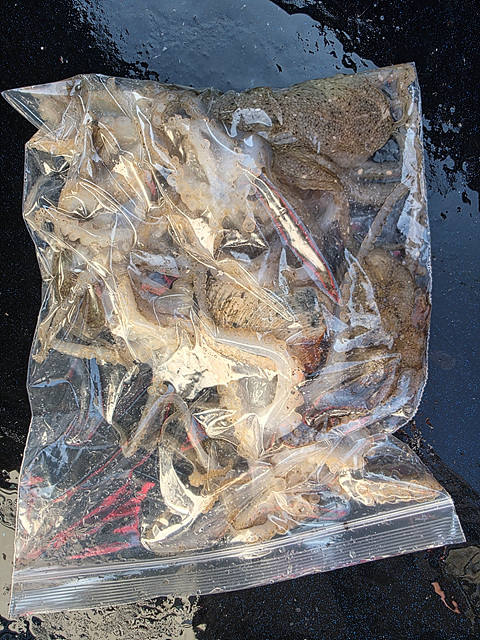 인천쭈꾸미낚시 (6).jpg