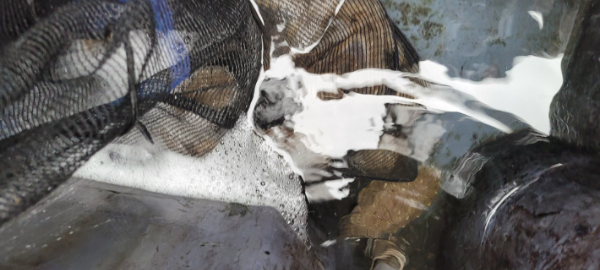 예지퀸호 농어외수질&어초낚시 경기인천권_사진_20251016_9.jpg